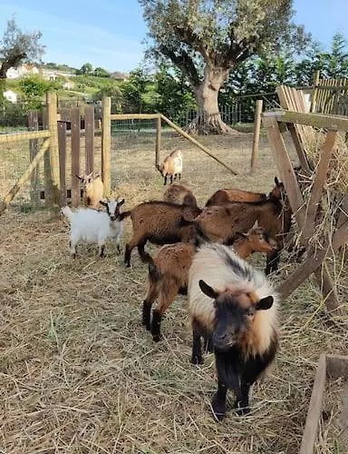 Casa Da Joana, Quinta Carmo - Alcobaca/nazare